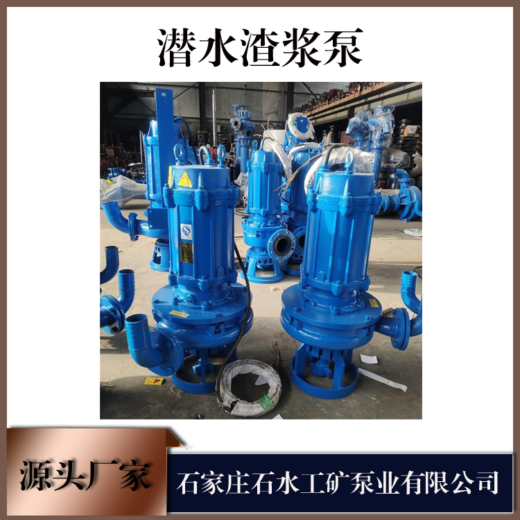 安庆潜水渣浆泵轴承装配不当的处理措施